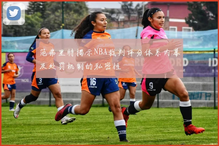 范弗里特揭示NBA裁判评分体系内幕及处罚机制的私密性
